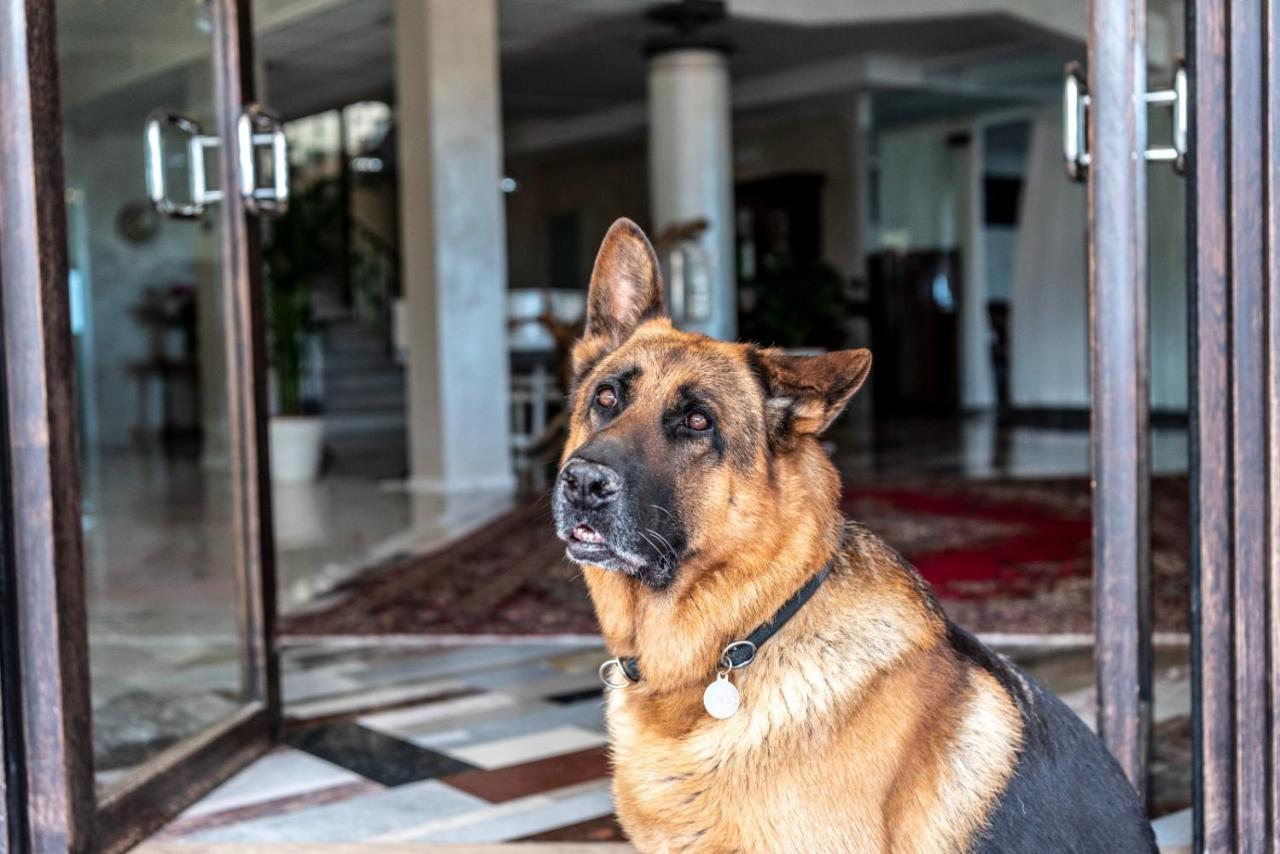 Fantinello Hotel كاوْرلي المظهر الخارجي الصورة